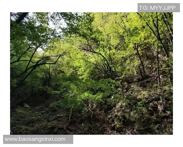 杭州攀岩队边路渗透技巧揭秘与深度分析 杭州攀岩队边路渗透技巧揭秘与深度分析