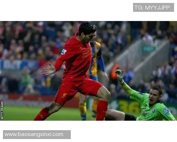 诺维奇与雷丁2019年精彩对决回顾及赛后分析