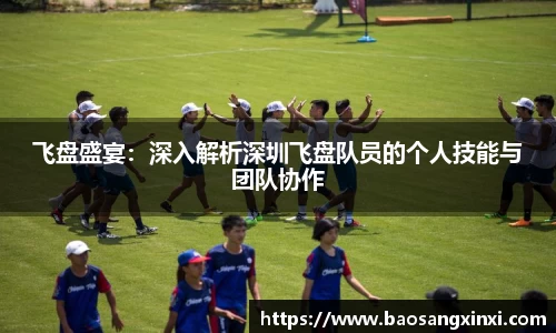 飞盘盛宴：深入解析深圳飞盘队员的个人技能与团队协作
