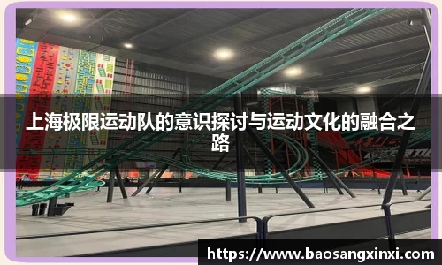 上海极限运动队的意识探讨与运动文化的融合之路