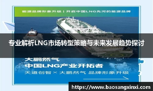 专业解析LNG市场转型策略与未来发展趋势探讨