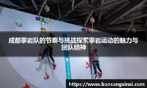 成都攀岩队的节奏与挑战探索攀岩运动的魅力与团队精神