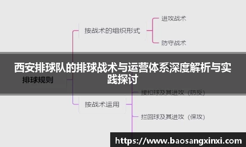 西安排球队的排球战术与运营体系深度解析与实践探讨
